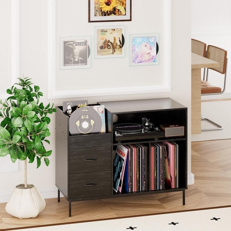 Siyah Endüstriyel Metal Çerçeveli Plak Dolabı 70x90x38 cm - 81508
