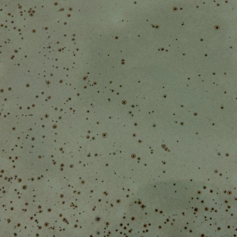 Zeytin Yeşili Seramik Suya Dayanıklı Seramik Yan Sehpa-36x36x46 cm - 113475