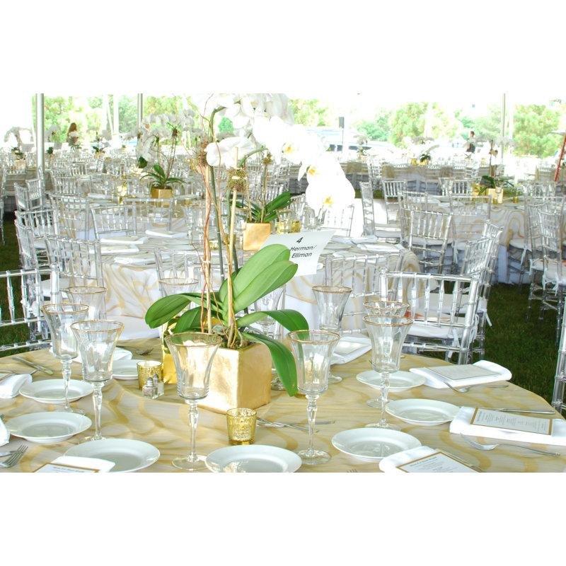 Akrilik İstiflenebilir 4lü Set Şeffaf Sandalye - 146742