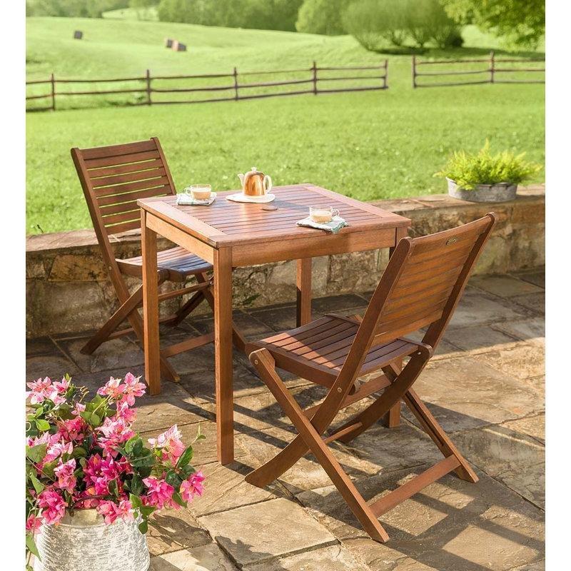 Kahverengi Masif Okaliptüs Katlanır Bistro Sandalye 2li Set - 145497
