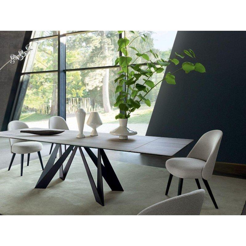 Masif Dişbudak Ayaklı Kumaş Döşemeli Sandalye - 50x62x90 cm - 147513