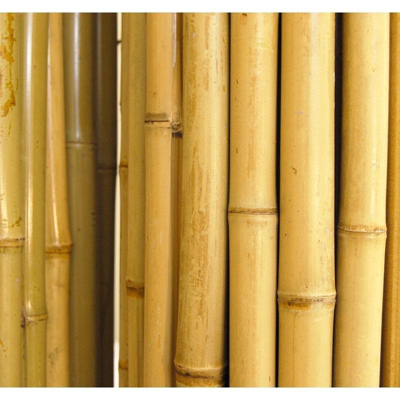 Doğal Bambu Dekoratif Rulo Balkon Çiti - 122x244 cm - 174610