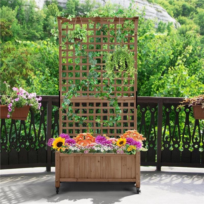 Masif Köknar Ağacı Tekerlekli ve Çitli Saksılık Bahçe Paravanı - 191x91 cm - 172778