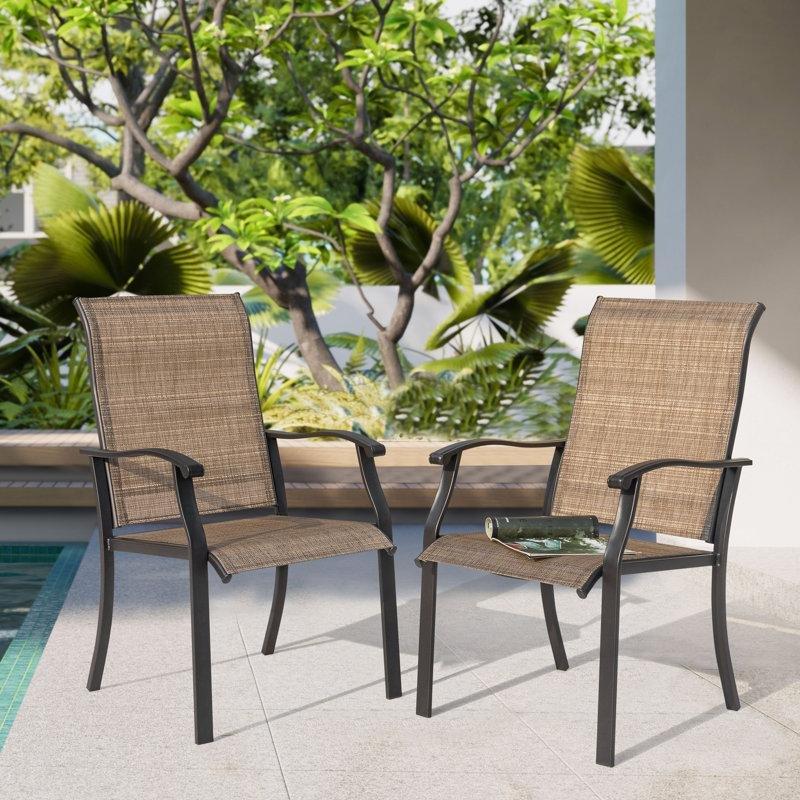 Siyah Demir Kollu Ergonomik 2li Set Bahçe Sandalyesi - 173790