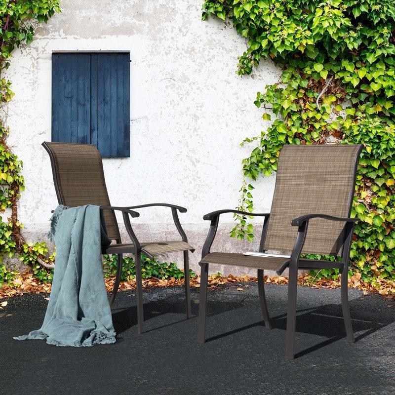 Siyah Demir Kollu Ergonomik 2li Set Bahçe Sandalyesi - 173790