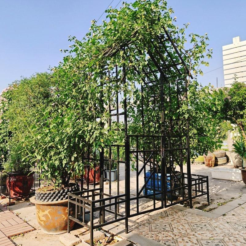 Siyah Metal Saksılı Kemerli Sarmaşık Destekli Bahçe Kapısı - 206x247 cm - 172705