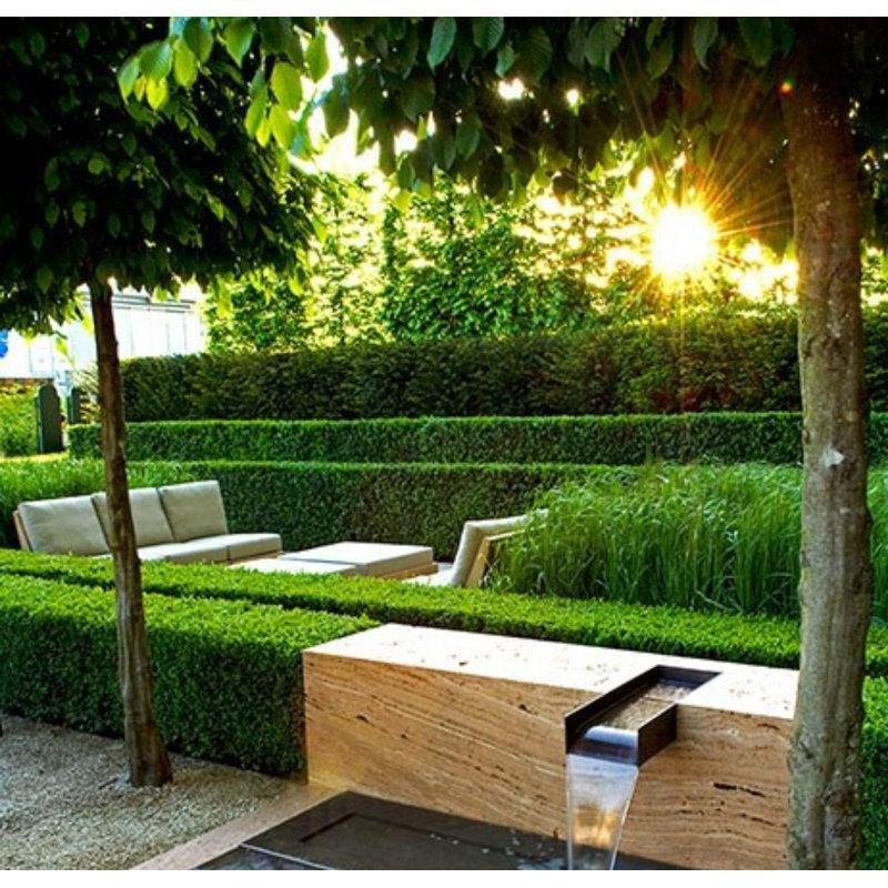 Yeşil Polietilen UV Korumalı Çift Taraflı 5li Set Bahçe Paravanı - 102x102 cm - 173027