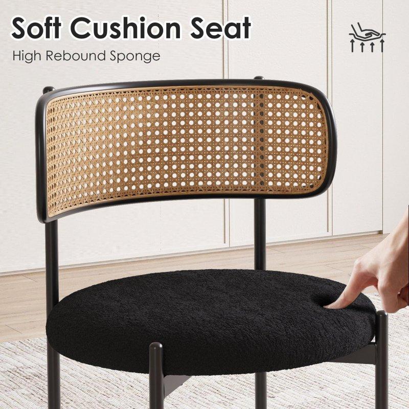 Metal Bacaklı Döşemeli 2li Set Rattan Sandalye - 252111